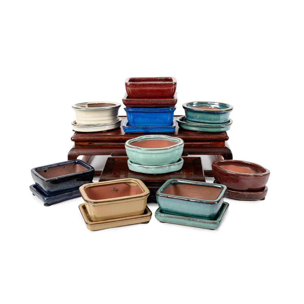Assorted Glazed Bonsai Pots with Saucer, 5" by Pecenppot