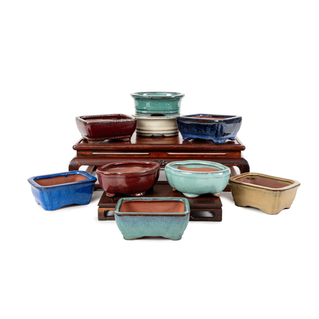 Assorted Glazed Bonsai Pots, 5" - - Pots