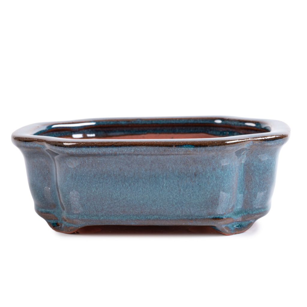 Assorted Glazed Bonsai Pots, 8"