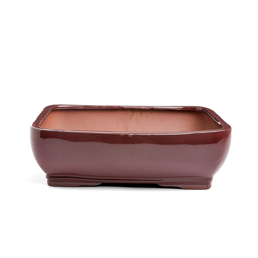 Assorted Glazed Bonsai Pots, 8"