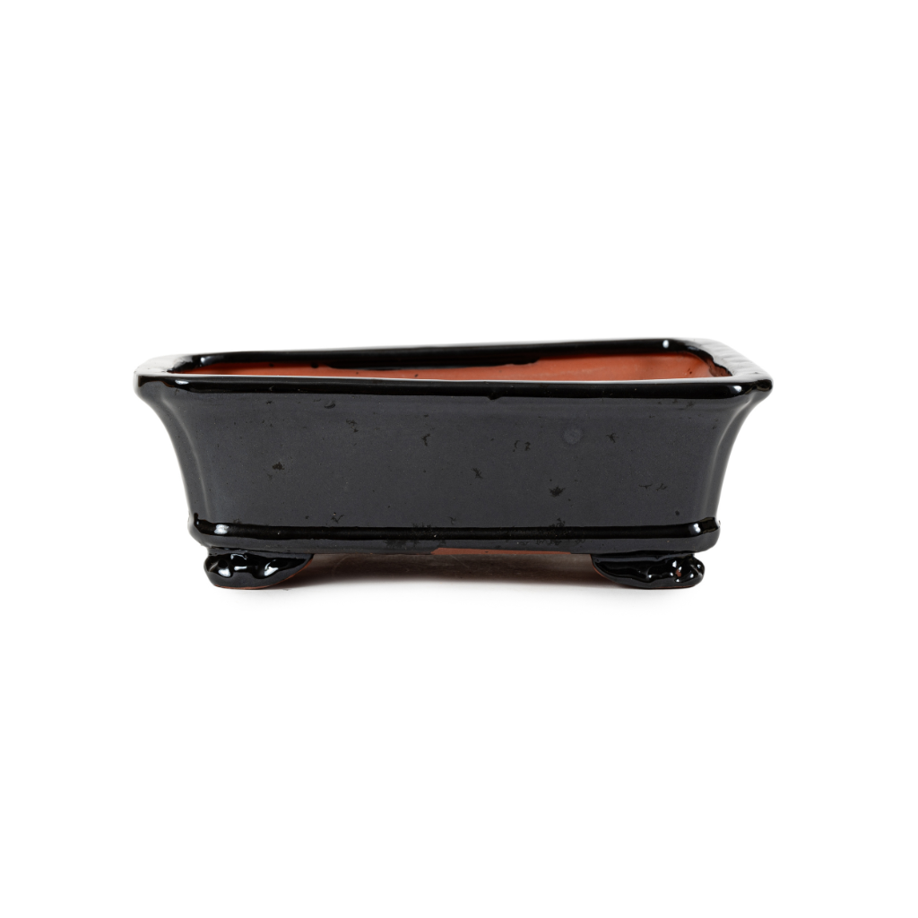 Assorted Glazed Bonsai Pots, 10" - Black Rectangle 27 x 21 x 8cm - Pots