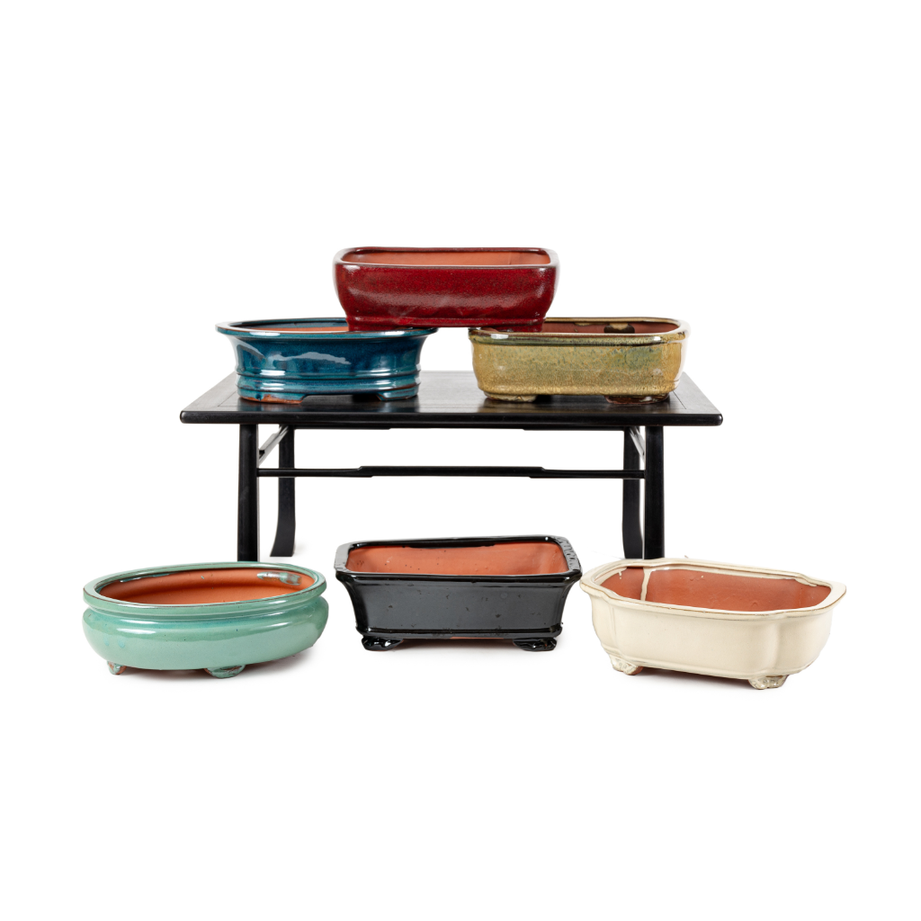 Assorted Glazed Bonsai Pots, 10" - - Pots