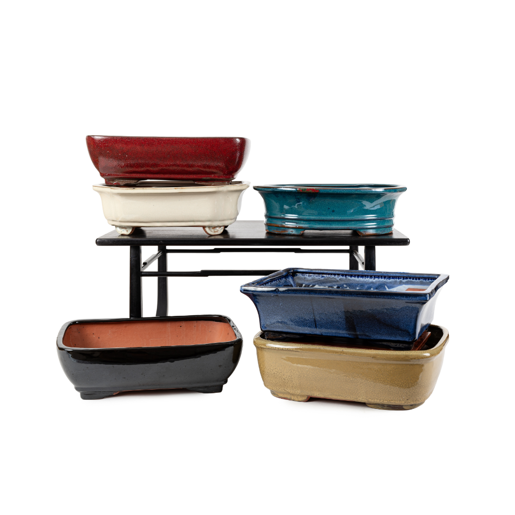 Assorted Glazed Bonsai Pots, 12" by Pecenppot