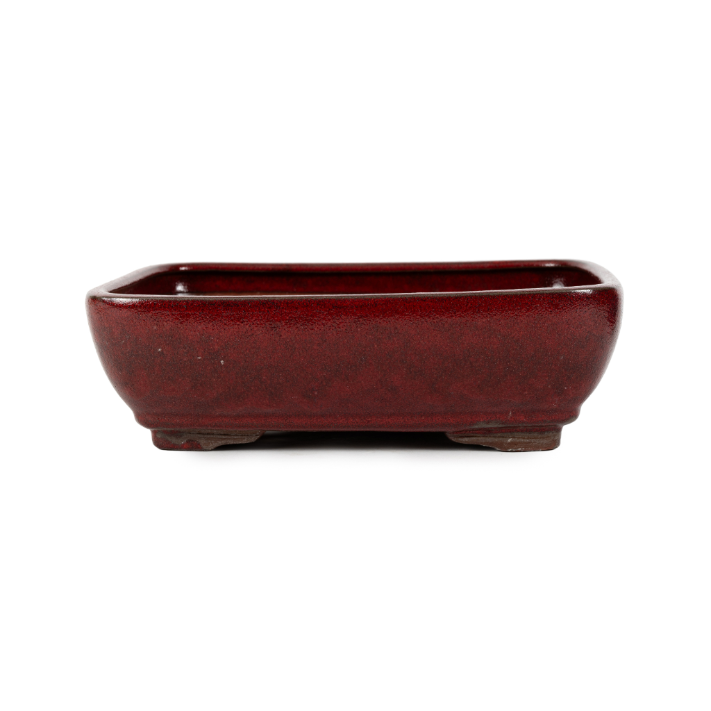 Assorted Glazed Bonsai Pots, 12"