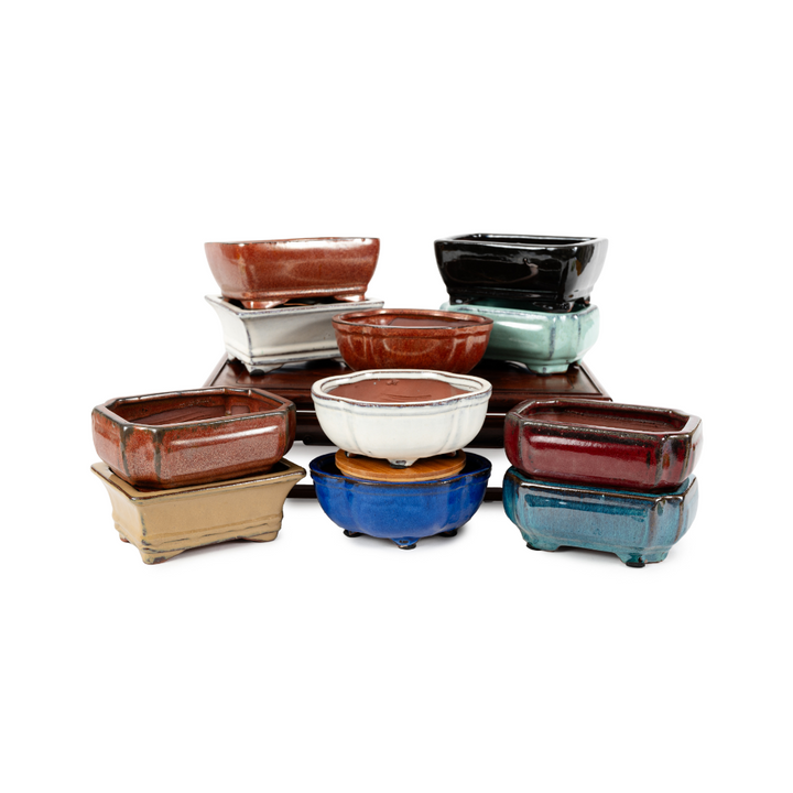 Assorted Glazed Bonsai Pots, 6" by Pecenppot