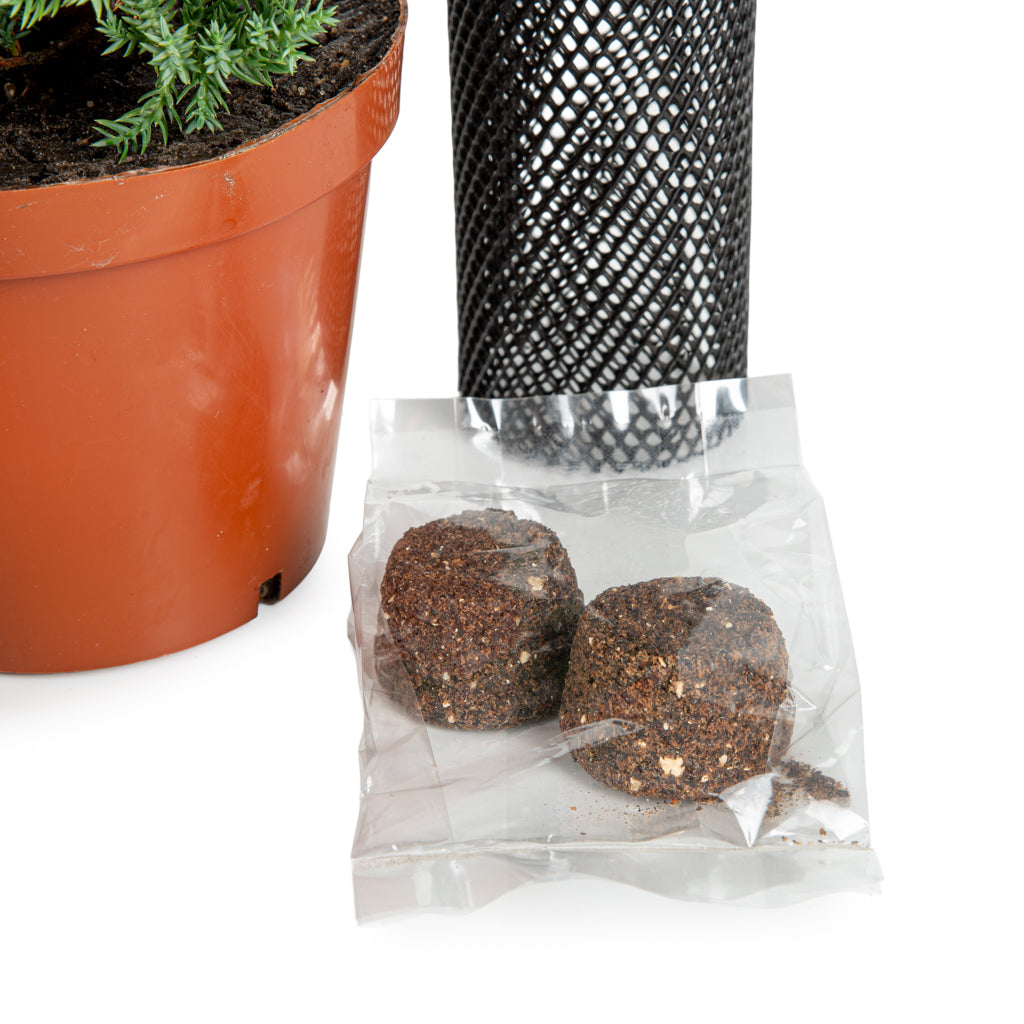 Apprentice Juniper Bundle - - Bundles and Gift sets