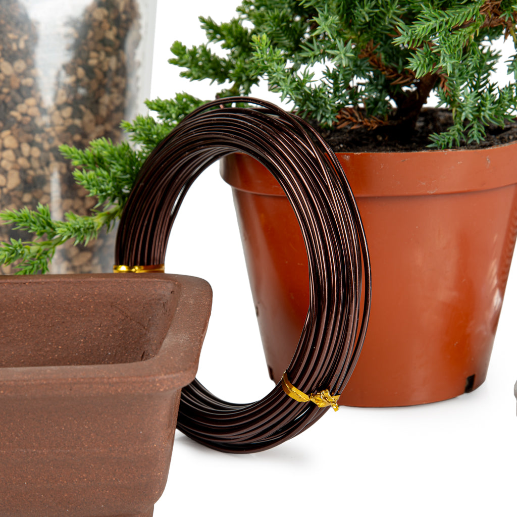 Apprentice Juniper Bundle - - Bundles and Gift sets