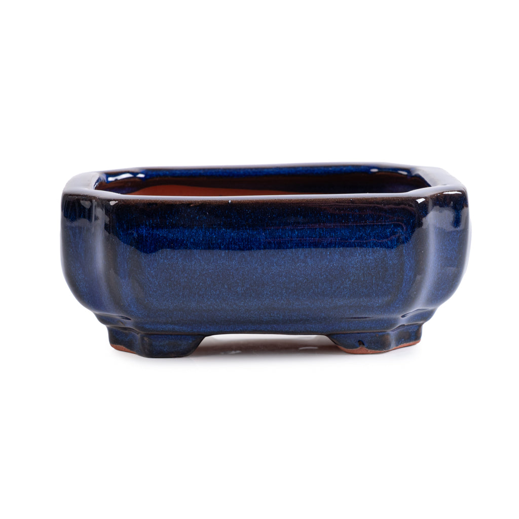 Assorted Glazed Bonsai Pots, 6" - Blue Rectangle 15 x 11 x 6cm - Pots