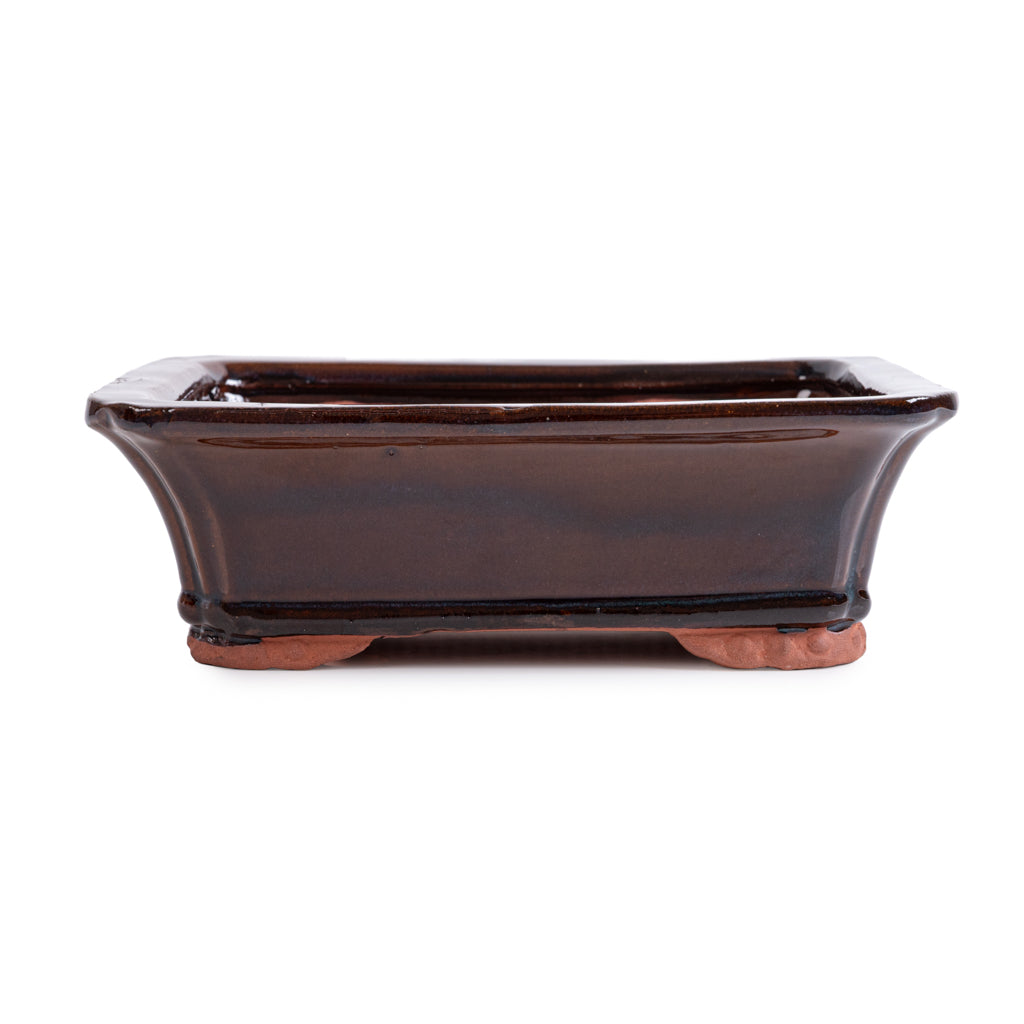 Assorted Glazed Bonsai Pots, 8" - Black Rectangle, 21 x 17 x 7cm - Pots