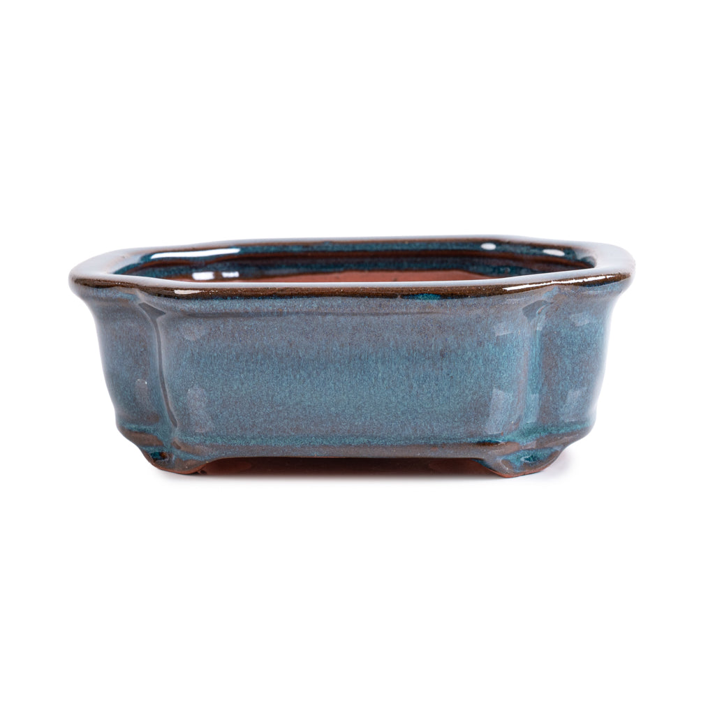 Assorted Glazed Bonsai Pots, 6" - Eagle Gree Rectangular, 16 x 12 x 5cm - Pots