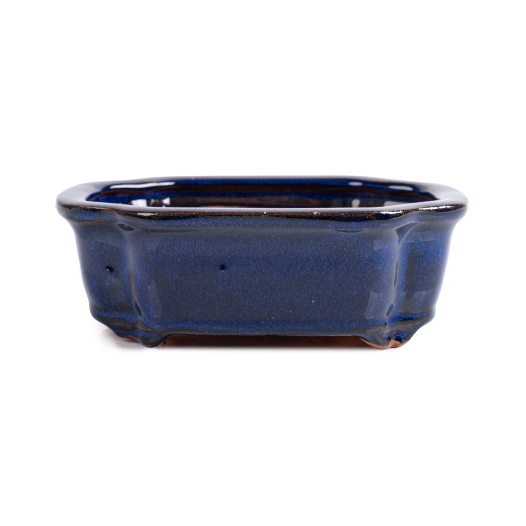 Assorted Glazed Bonsai Pots, 6" - Blue Rectangular, 16 x 12 x 5cm - Pots