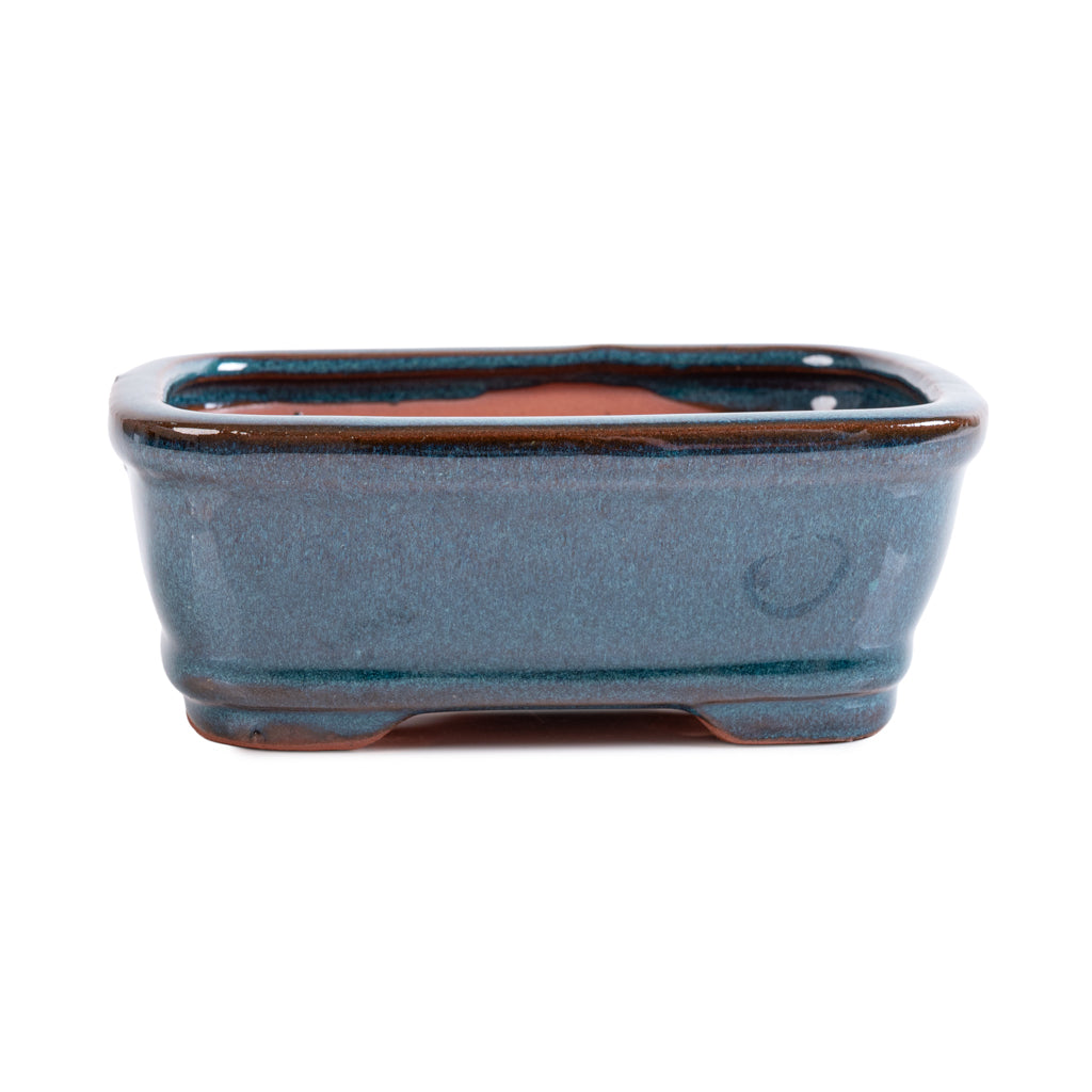 Assorted Glazed Bonsai Pots, 6" - Eagle-Green Lip Rectangle 16 x 12 x 6cm - Pots