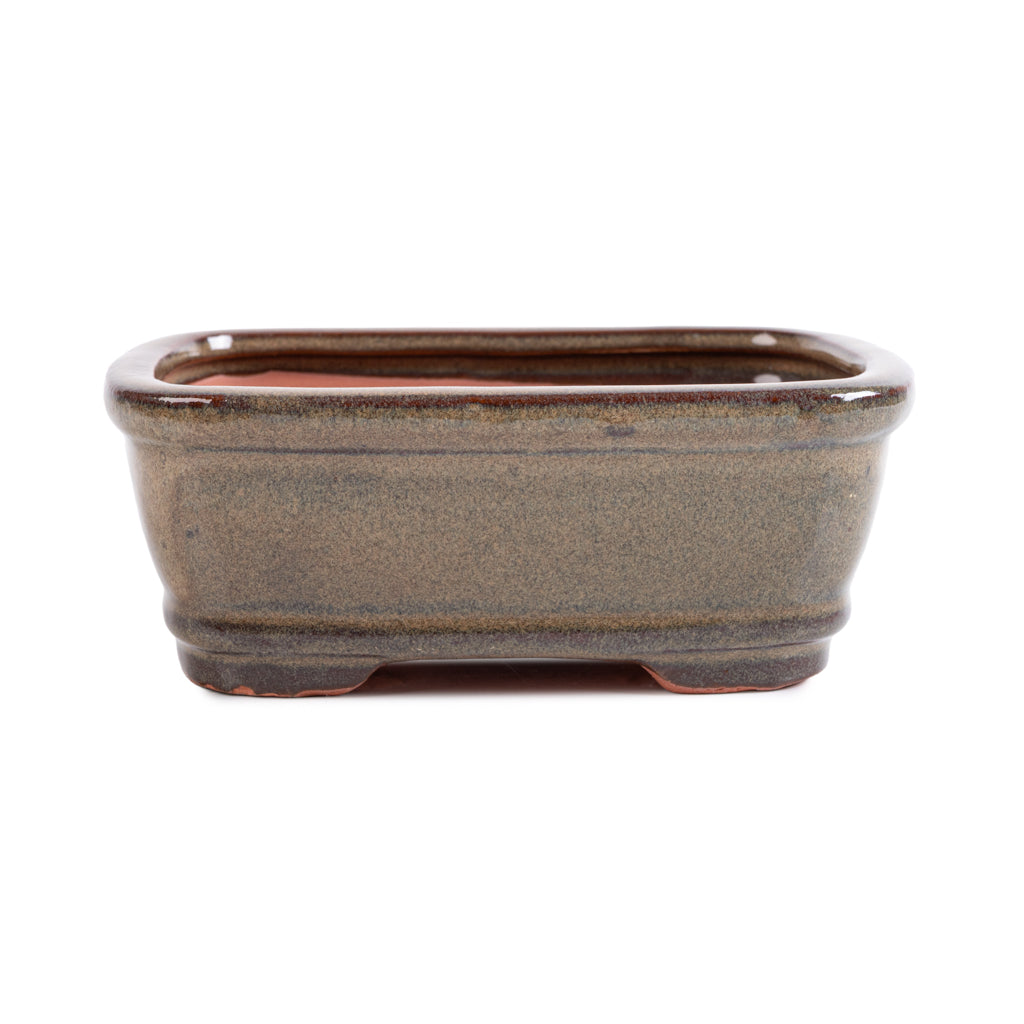 Assorted Glazed Bonsai Pots, 6" - Mustard Rectangle 16 x 12 x 6cm - Pots