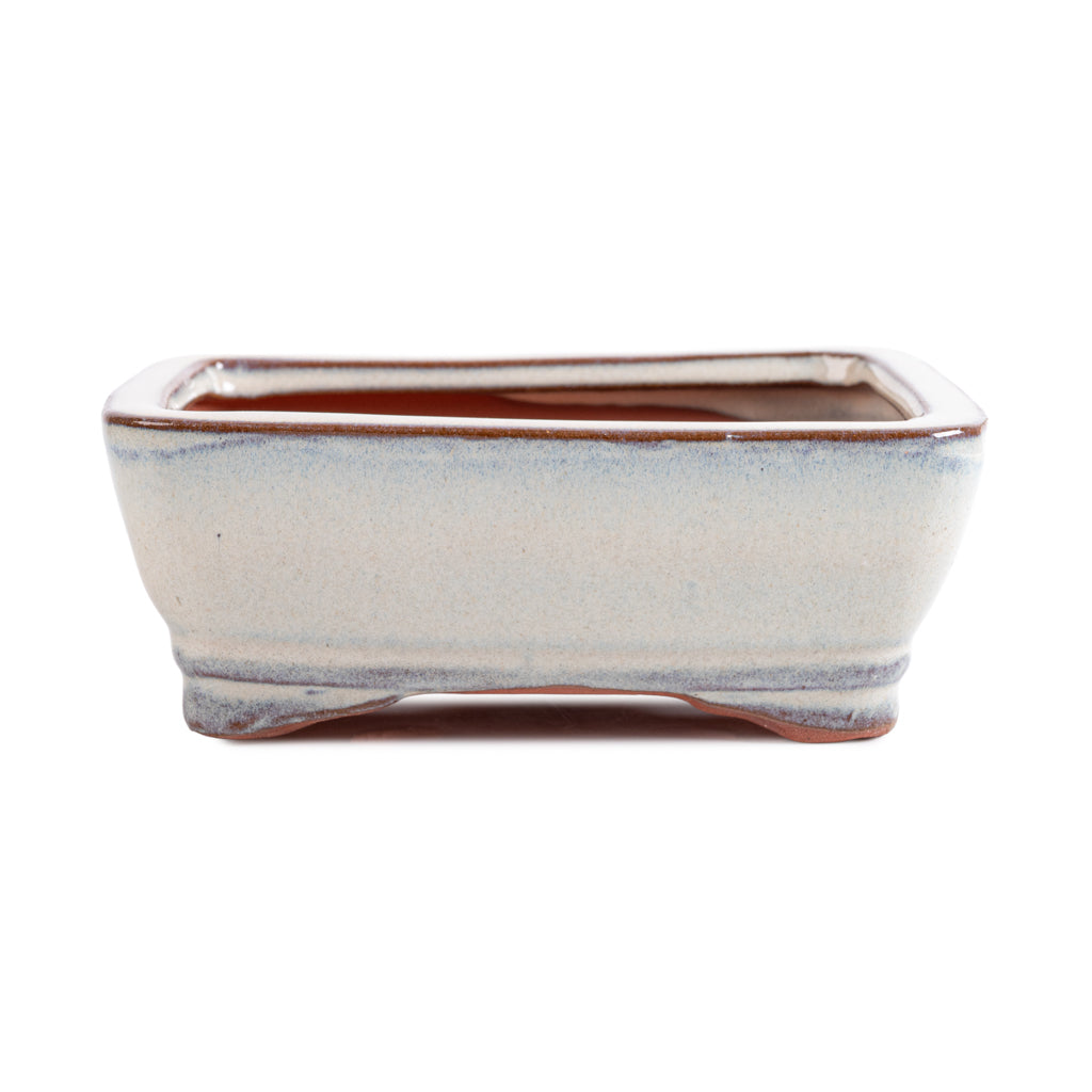 Assorted Glazed Bonsai Pots, 6" - Ivory Rectangle 16 x 12 x 6cm - Pots