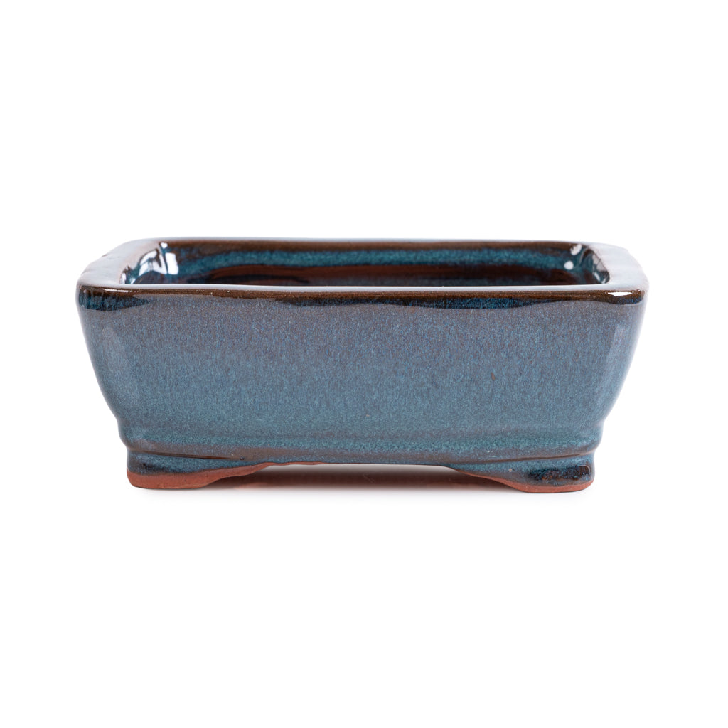 Assorted Glazed Bonsai Pots, 6" - Eagle-Green Rectangle 16 x 12 x 6cm - Pots