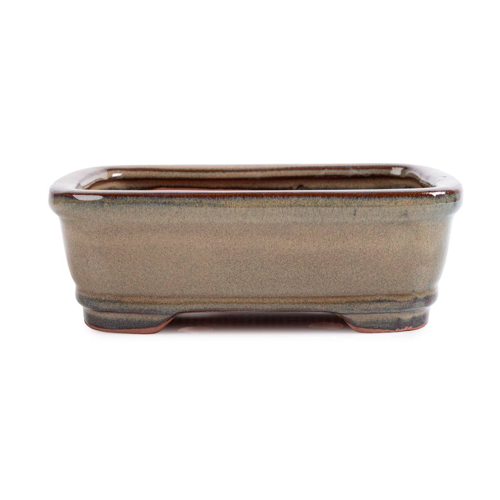 Assorted Glazed Bonsai Pots, 8" - Mustard Rectangular, 21 x 16 x 7cm - Pots