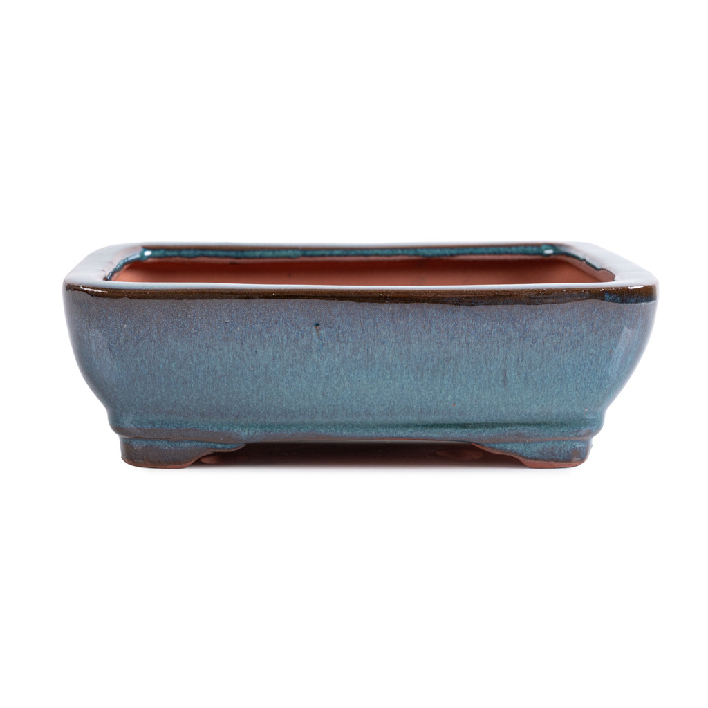 Assorted Glazed Bonsai Pots, 8" - Eagle Blue Rectangular, 22 x 17 x 7cm - Pots