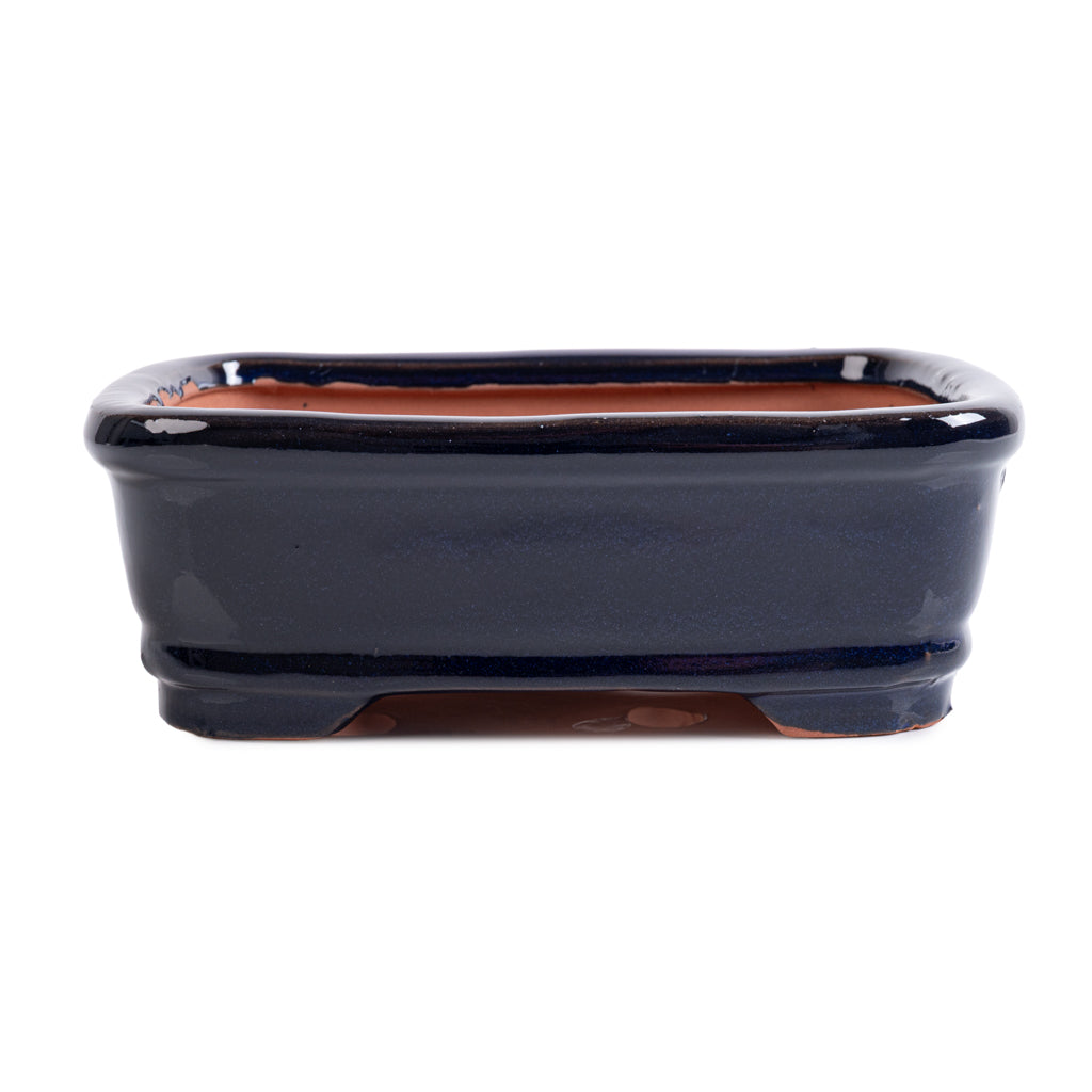 Assorted Glazed Bonsai Pots, 12" - Blue rectangular 31 x 24 x 10cm - Pots