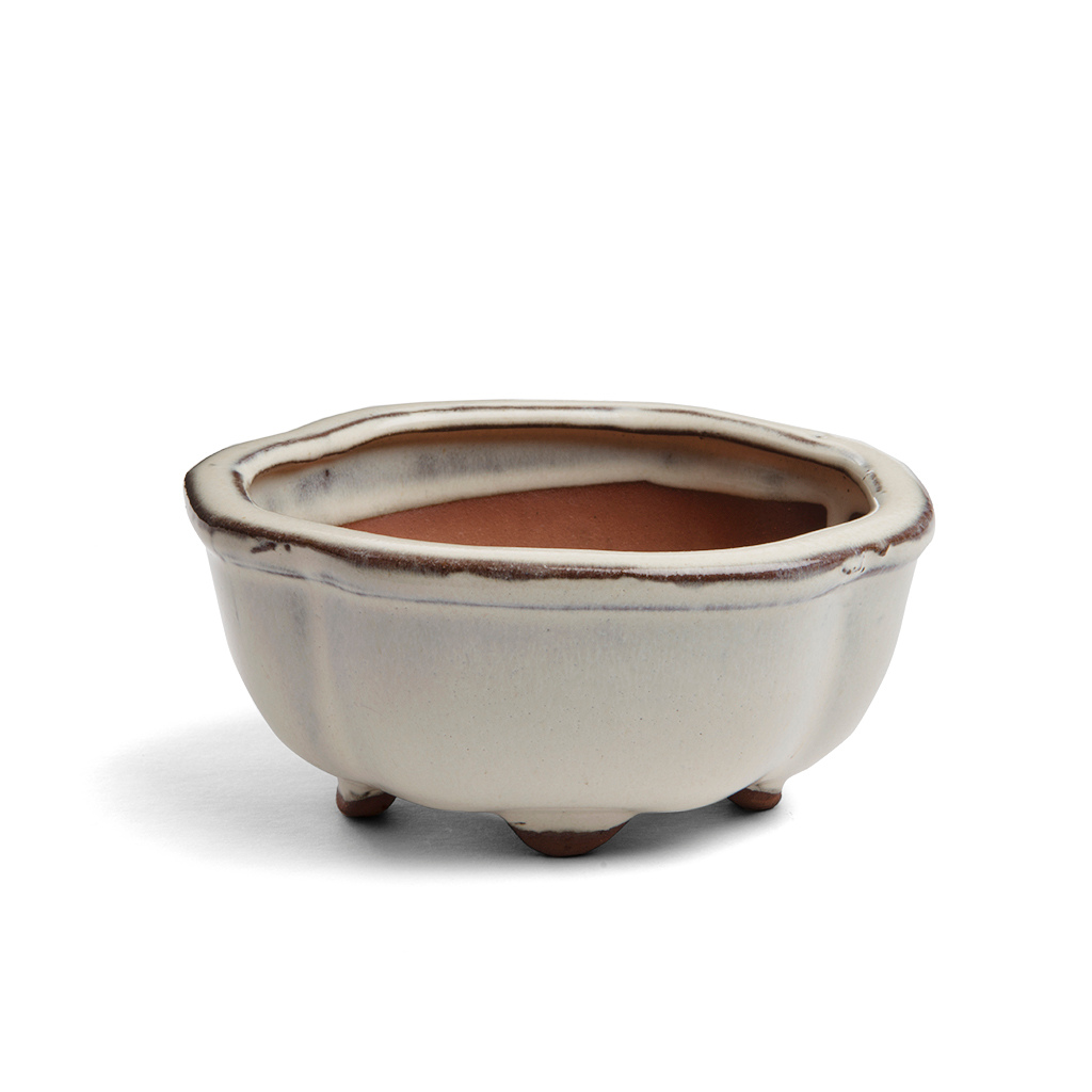 Assorted Glazed Bonsai Pots, 6" - Ivory Floriated, 16 x 12 x 6cm - Pots