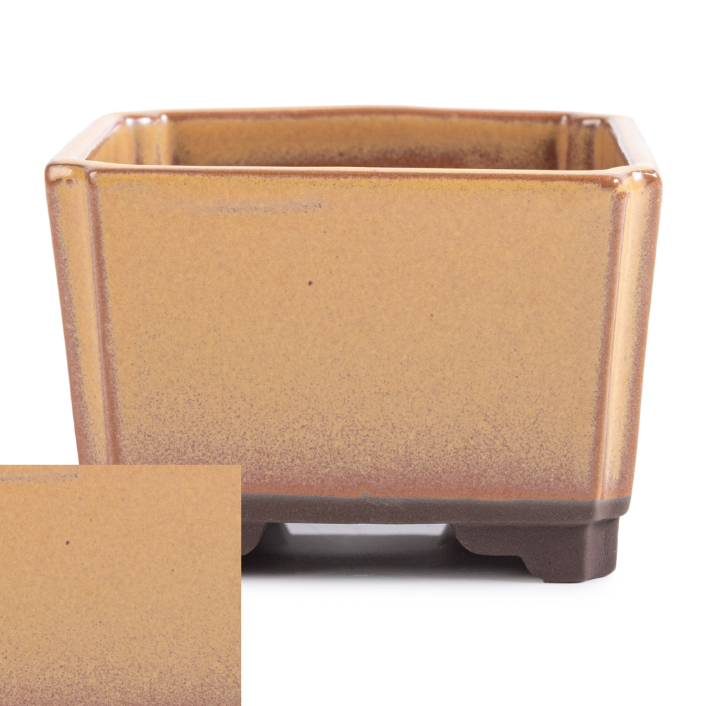 Japanese Glazed Square Container, 100 x 100 x 70mm - Mustard Yellow - Pots