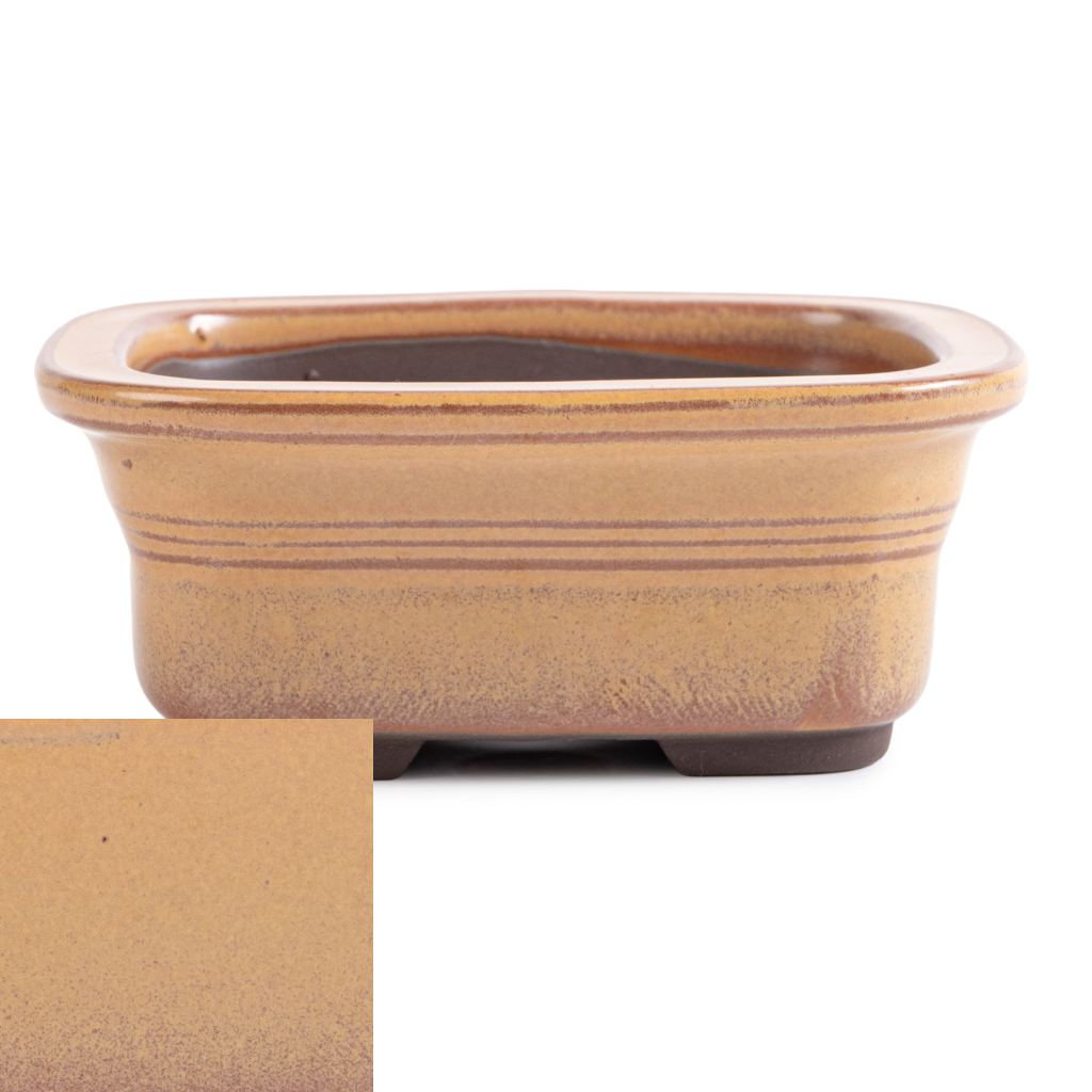 Japanese Glazed Rounded Rectangular Container with Lip, 135 x 110 x 55mm - Mustard Yellow - Pots