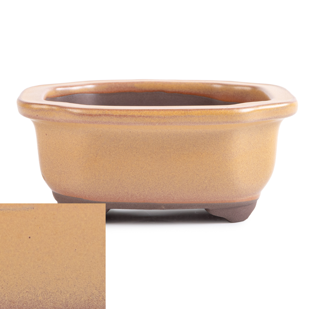 Japanese Glazed Decorative Rectangular Container, 130 x 115 x 55mm - Mustard Yellow - Pots
