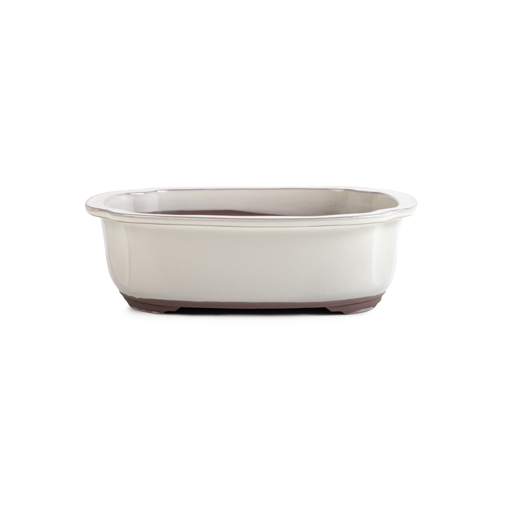 Japanese Ivory Glazed, Decorative Containers for Bonsai by Kobayashi Sangyo