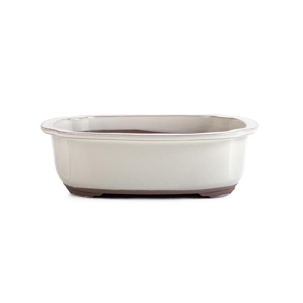 Japanese Ivory Glazed, Decorative Containers for Bonsai by Kobayashi Sangyo