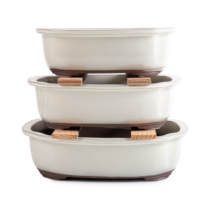 Japanese Ivory Glazed, Decorative Containers for Bonsai by Kobayashi Sangyo