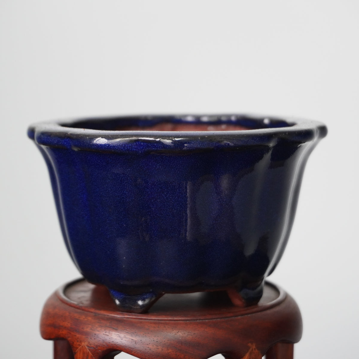 Yozan, flower shape, 115 x 70mm. by Bonsai Tree (Pty) Ltd.