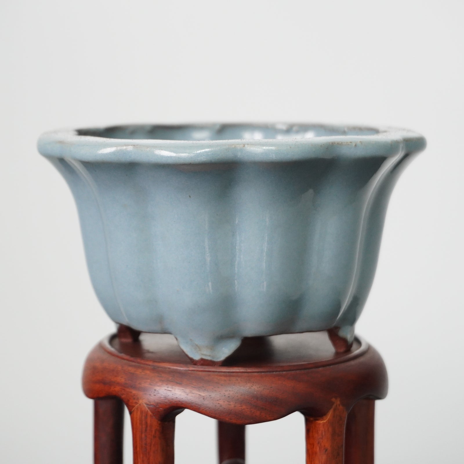 Yozan, flower shape, 130 x 70mm. by Bonsai Tree (Pty) Ltd.