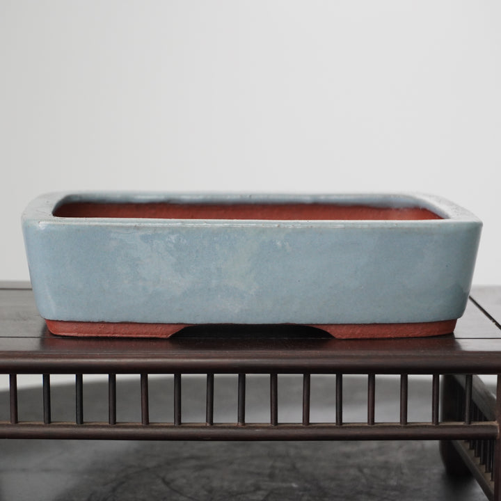 Yozan, Light blue. Rectangular shape, 184 x 130 x 45mm. by Bonsai Tree (Pty) Ltd.