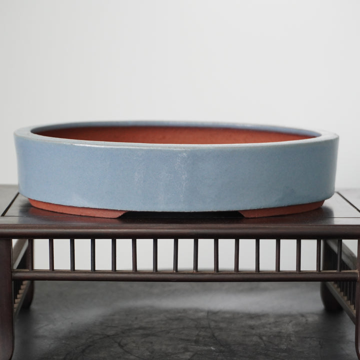Yozan, Light blue. Oval shape, 215 x 180 x 45mm. by Bonsai Tree (Pty) Ltd.