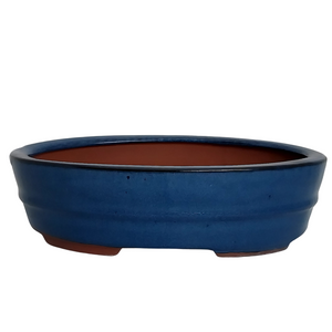 Assorted Glazed Bonsai Pots, 10" -  Blue Oval, 28 x 20 x 7cm - Pots