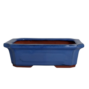 Assorted Glazed Bonsai Pots, 10" -  Blue Rectangle with pannels, 25 x 18 x 8cm - Pots