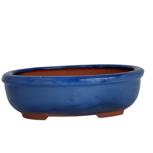 Assorted Glazed Bonsai Pots, 12" -  Blue Oval, 30 x 23 x 9cm - Pots