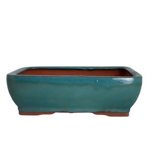 Assorted Glazed Bonsai Pots, 12" -  Green Rounded Rectangle, 30 x 24 x 9cm - Pots