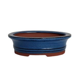 Assorted Glazed Bonsai Pots, 6" -  Blue Oval with Lip , 15 x 12 x 4cm - Pots
