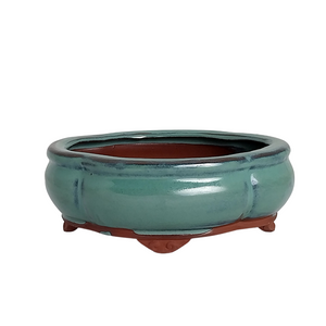 Assorted Glazed Bonsai Pots, 6" -  Green Floriated, 15 x 12 x 5cm - Pots