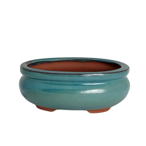 Assorted Glazed Bonsai Pots, 6" -  Green Oval with lip, 14 x 11 x 5cm - Pots