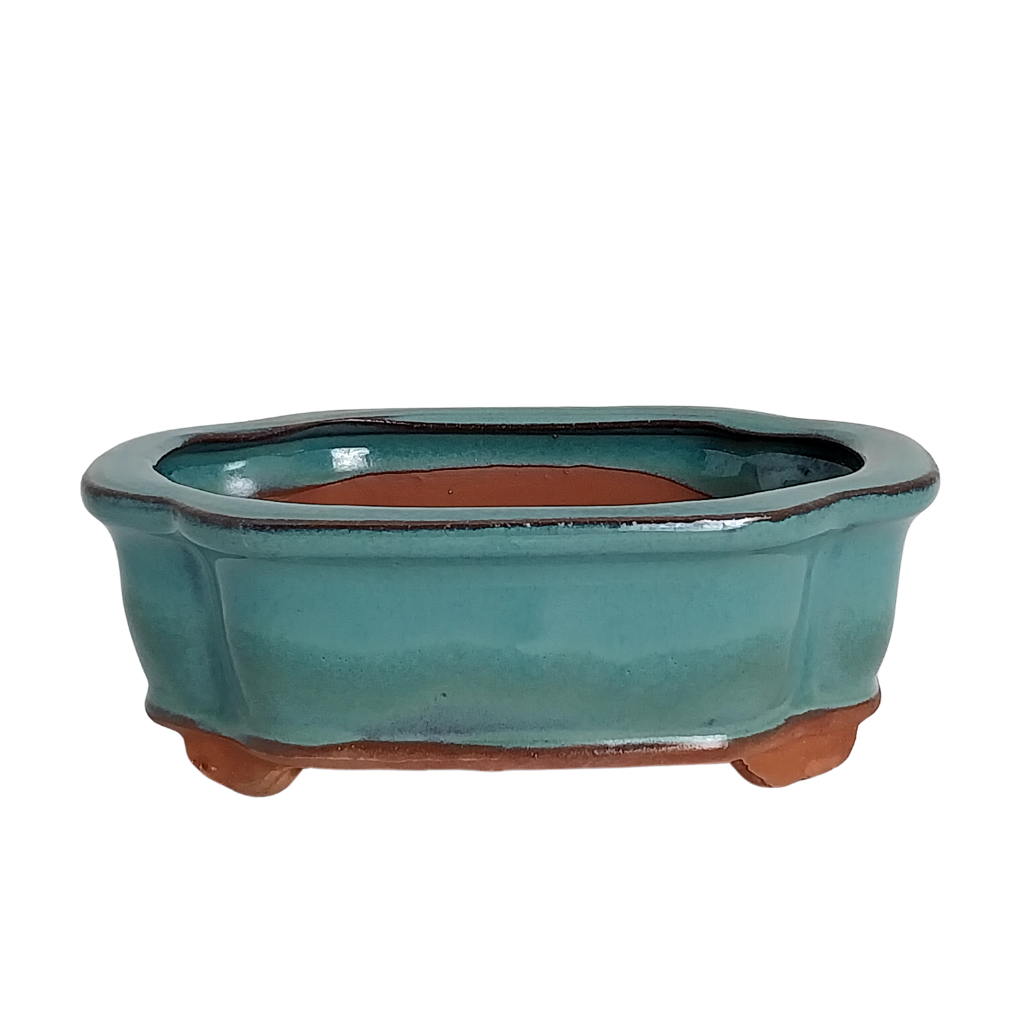 Assorted Glazed Bonsai Pots, 6" -  Green Rectangle, 15x 12 x 5cm - Pots