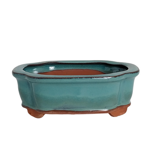 Assorted Glazed Bonsai Pots, 6" -  Green Rectangle, 15x 12 x 5cm - Pots
