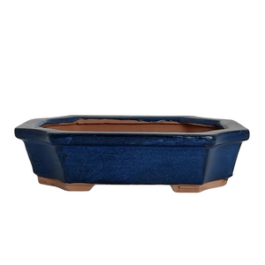Assorted Glazed Bonsai Pots, 6" -  Shalow Blue Rectangle, 16 x 12 x 4cm - Pots