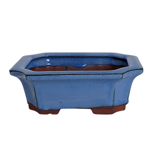 Assorted Glazed Bonsai Pots, 7" -  Blue Decorative Rectangle with 17 x 12 x 6cm - Pots