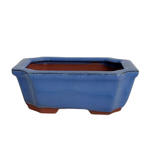 Assorted Glazed Bonsai Pots, 7" -  Blue Rectangular 17 x 13 x 6cm - Pots
