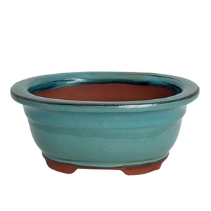 Assorted Glazed Bonsai Pots, 7" -  Deep green Oval with lip 16 x 13 x 7cm - Pots