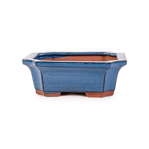 Assorted Glazed Bonsai Pots, 6" -  Blue with Decorative Rectangle, 15 x 12 x 5cm - Pots