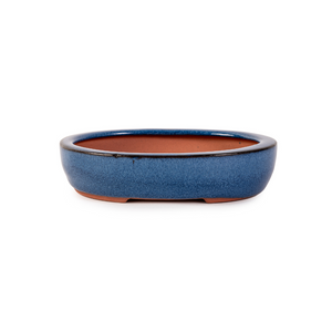 Assorted Glazed Bonsai Pots, 6" -  Blue shallow Oval, 15.5 x 12 x 3cm - Pots