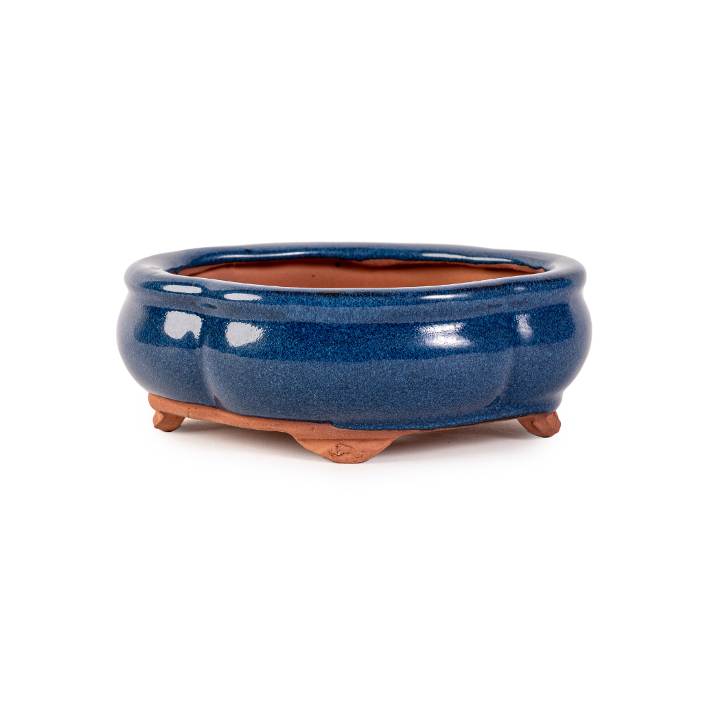 Assorted Glazed Bonsai Pots, 6" -  Blue Floriated, 15 x 12 x 6cm - Pots