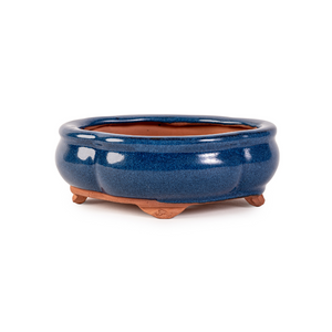 Assorted Glazed Bonsai Pots, 6" -  Blue Floriated, 15 x 12 x 6cm - Pots